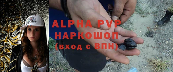 амф Бородино