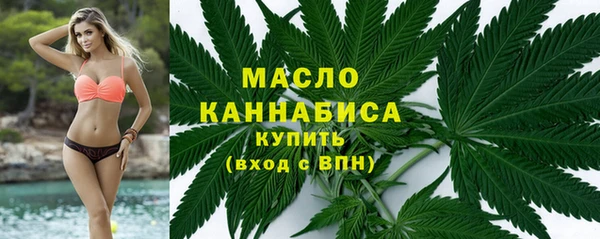 амф Бородино