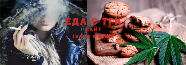амф Бородино