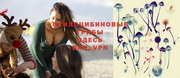 амф Бородино