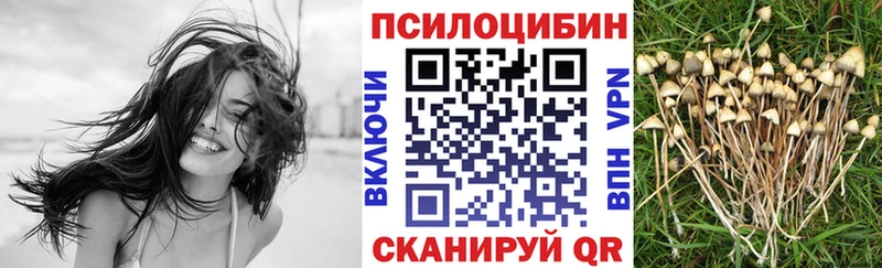 наркота Дальнегорск Галлюциногенные грибы ЛСД