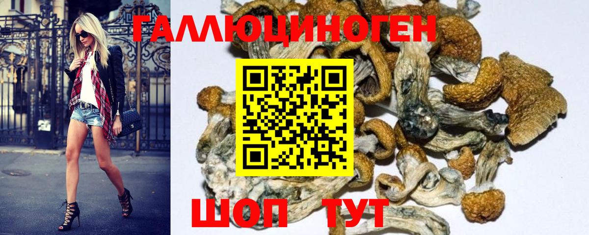 Галлюциногенные грибы GOLDEN TEACHER Дальнегорск