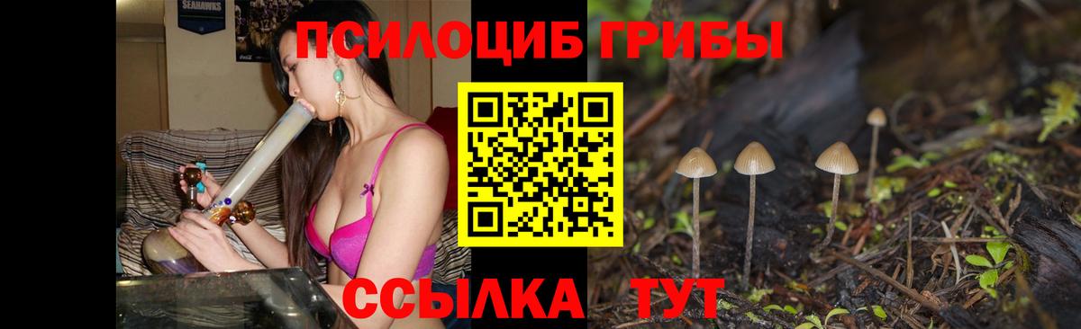 Псилоцибиновые грибы Cubensis  купить наркоту  Псилоцибиновые грибы GOLDEN TEACHER  Дальнегорск  Вход с VPN 